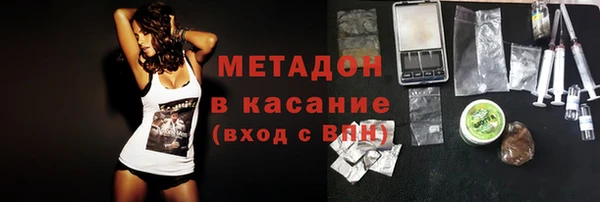 прущие грибы Алексин