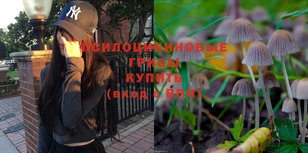 метадон Алексеевка
