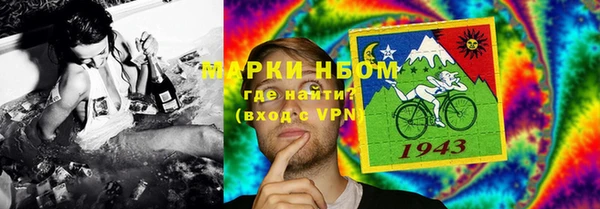 прущие грибы Алексин