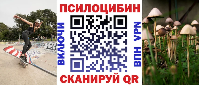купить наркоту  Бобров  Псилоцибиновые грибы Cubensis 